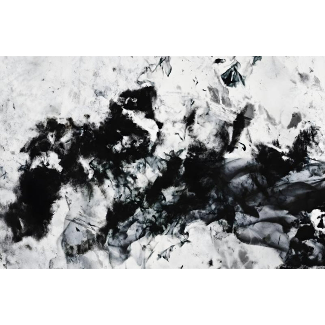"""Ink Nebula"" presents an abstract composition with a dynamic interplay of black ink against a li… for living room