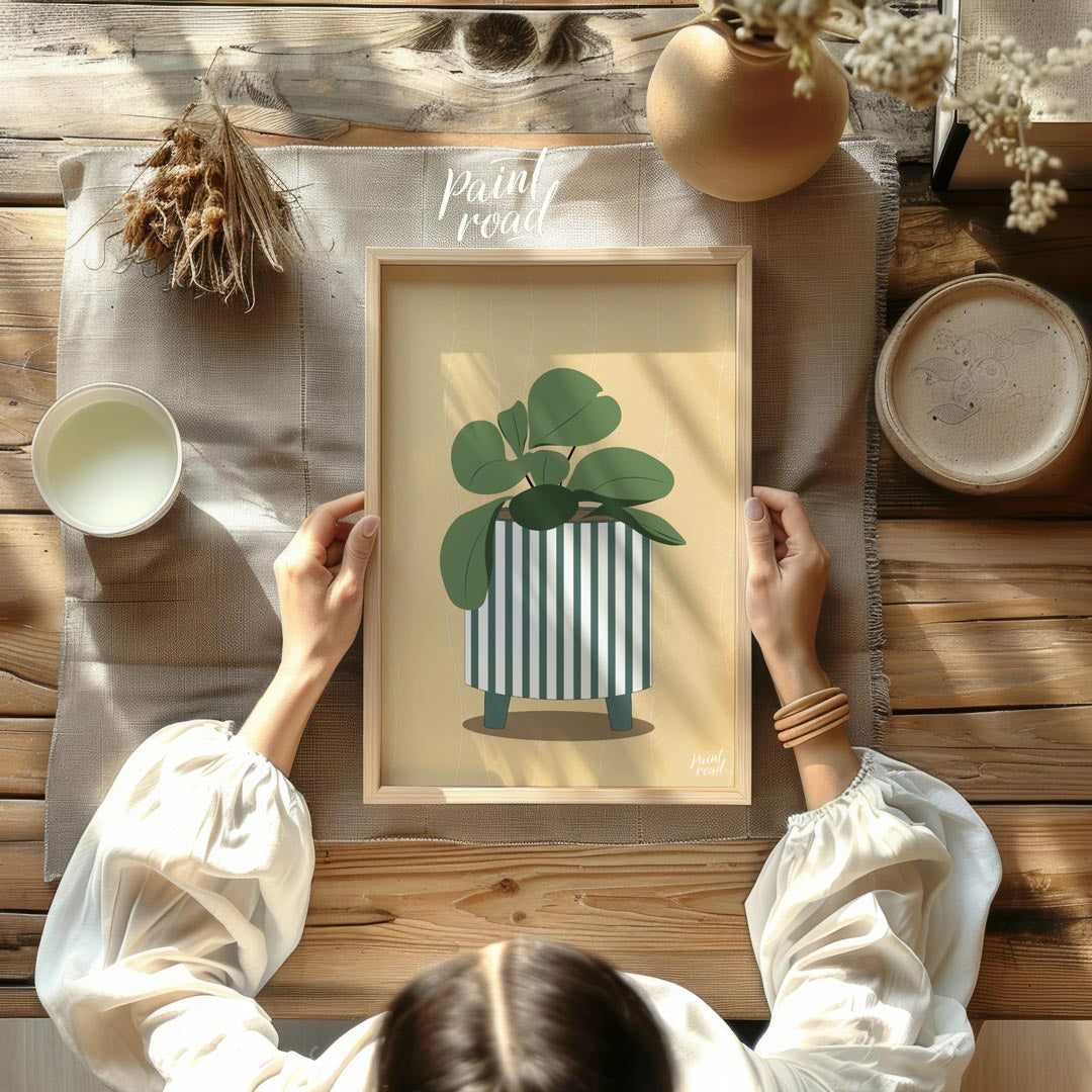 Striped Pot Money Plant