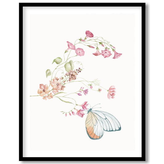 Pink Flowers and Butterfly