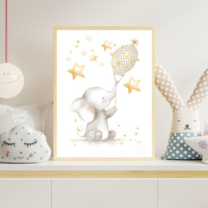 Star Catcher Elephant