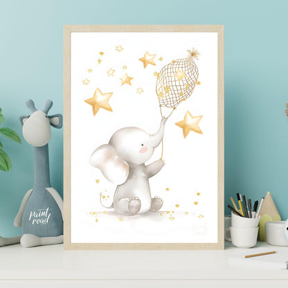 Star Catcher Elephant
