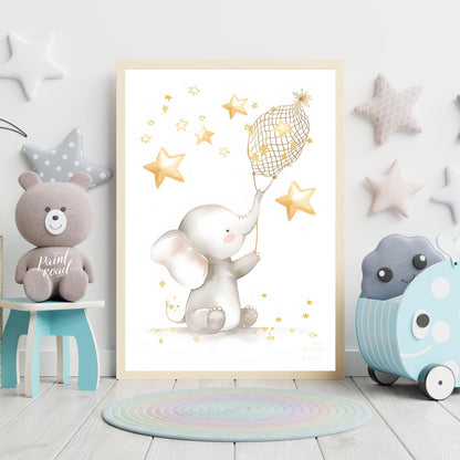 Star Catcher Elephant