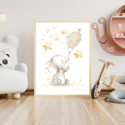 Star Catcher Elephant