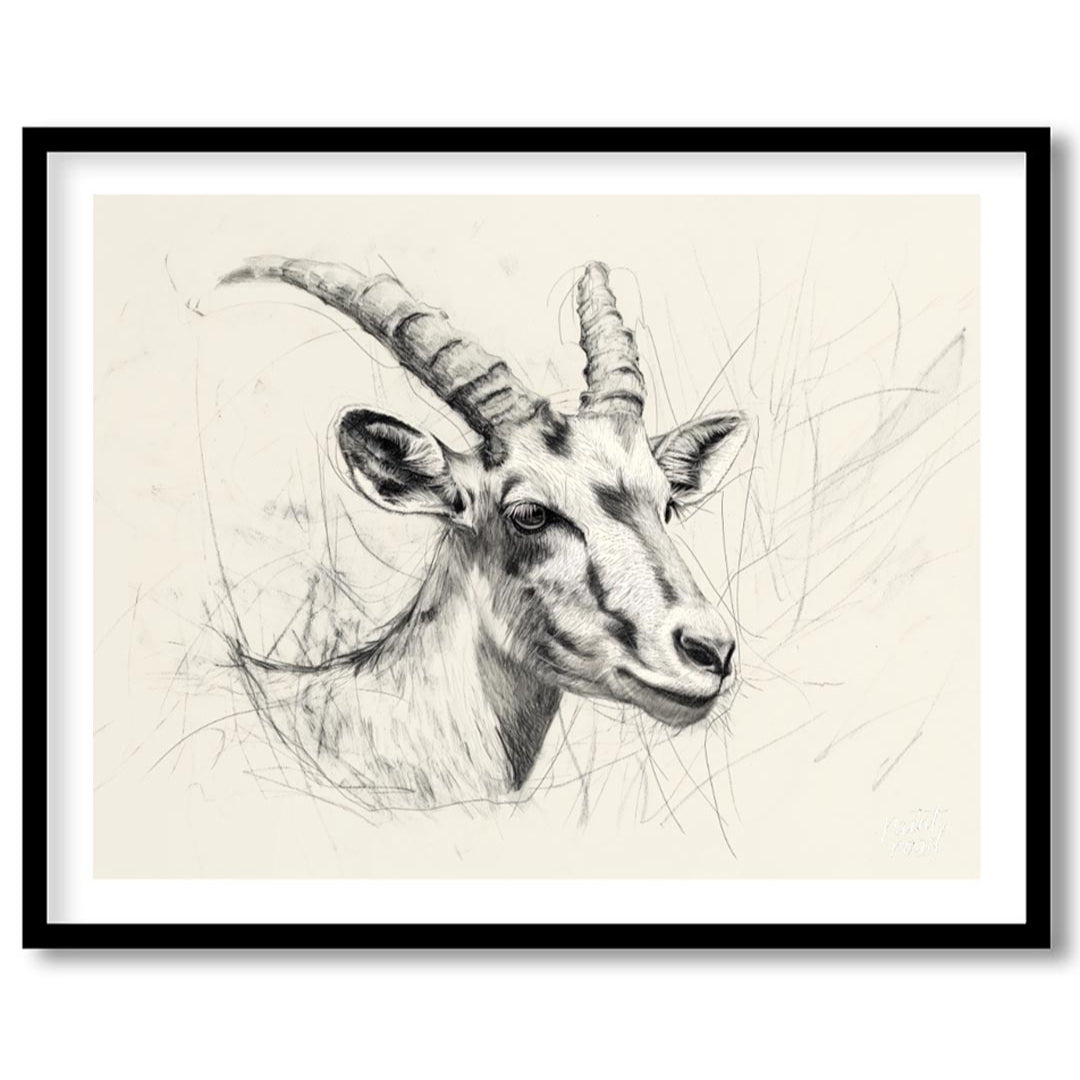 Elegant Antelope Portrait Sketch