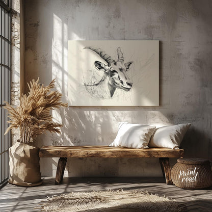 Elegant Antelope Portrait Sketch