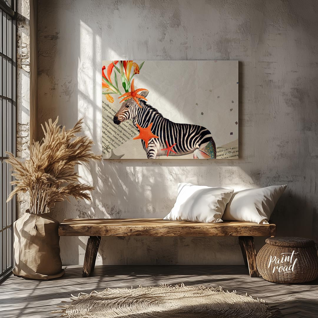 Collage Zebra with Sea Stars