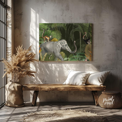 Jungle Giants: Elephant, Lemur & Ostrich