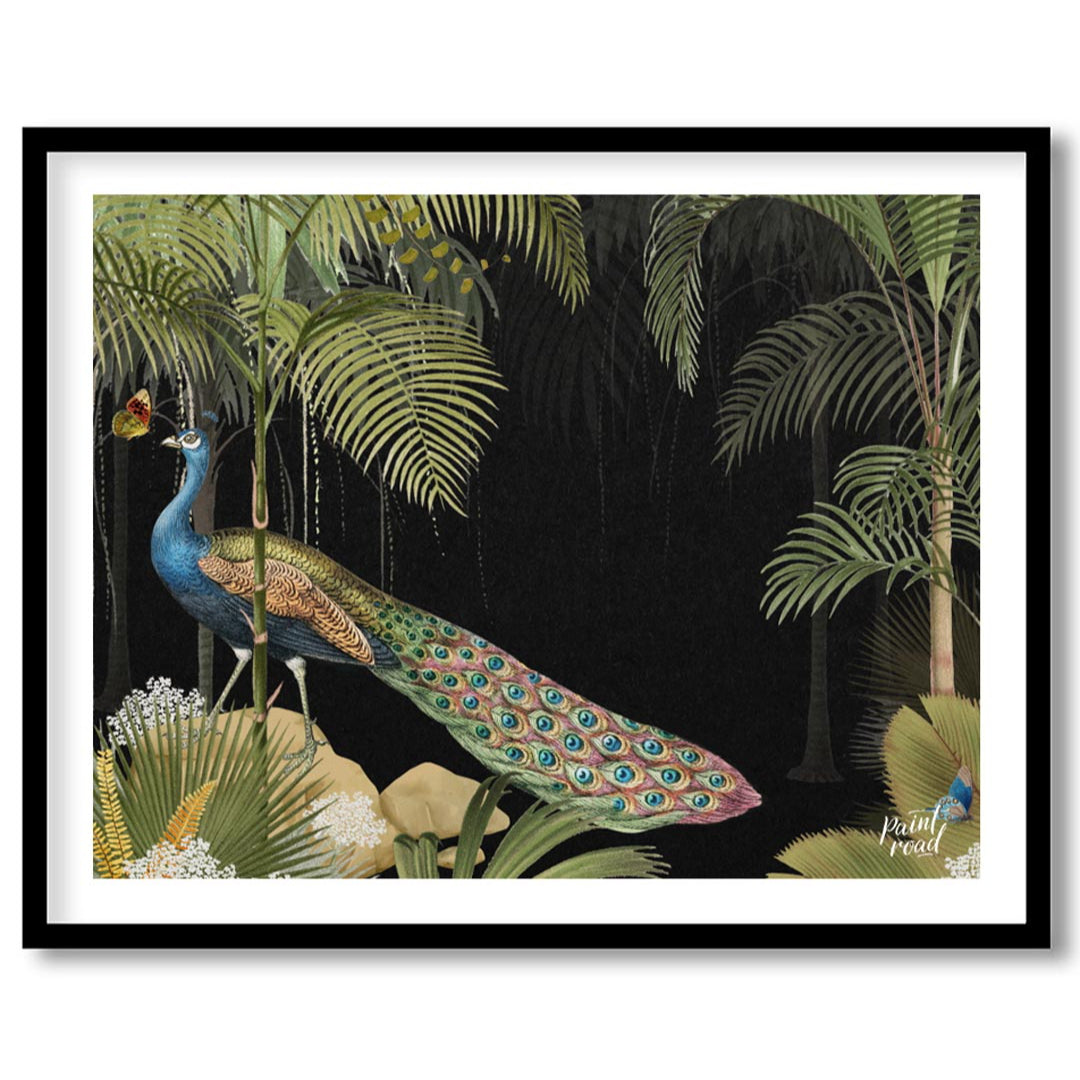 Peacock in Tropical Night