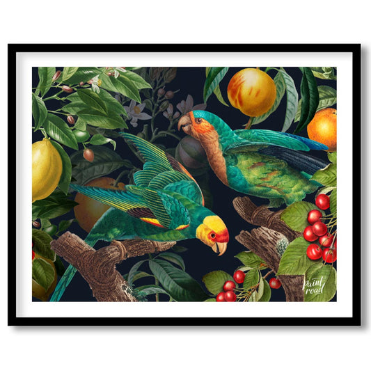 Parrots and Fruit in Deep Botanical Scene