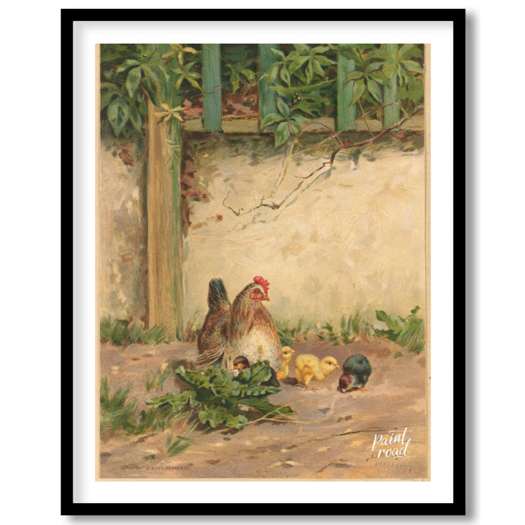 Hen and Chicks by the Wall