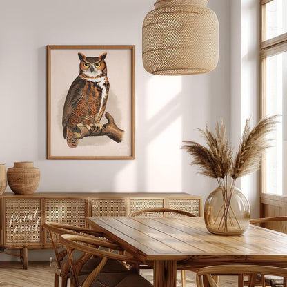 Regal Great Horned Owl Portrait