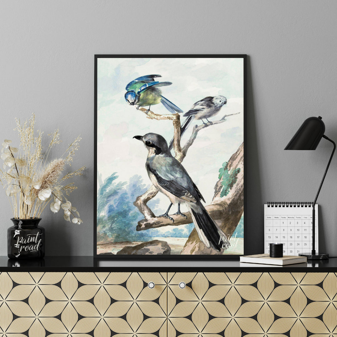 This vintage illustration, reminiscent of Audubon's bird studies, depicts three distinct avian spec… for office