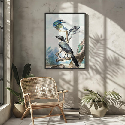 This vintage illustration, reminiscent of Audubon's bird studies, depicts three distinct avian spec… for other