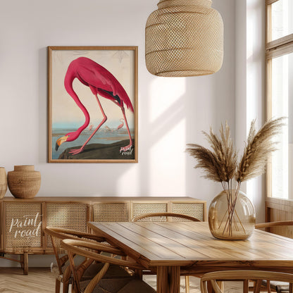 "This illustration, ""American Flamingo"" by John James Audubon, captures the elegant form of the f… for dining room