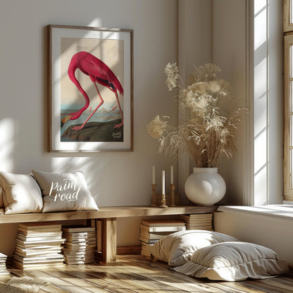 "This illustration, ""American Flamingo"" by John James Audubon, captures the elegant form of the f… for living room