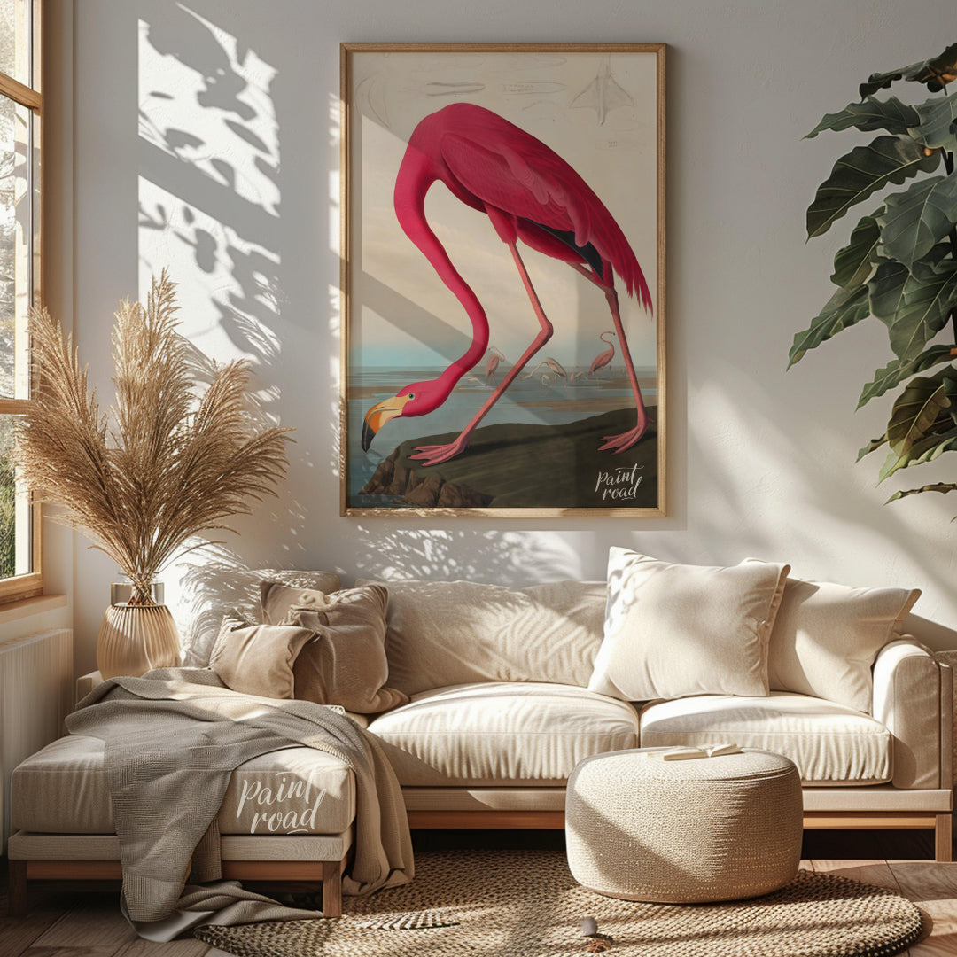 "This illustration, ""American Flamingo"" by John James Audubon, captures the elegant form of the f… for living room