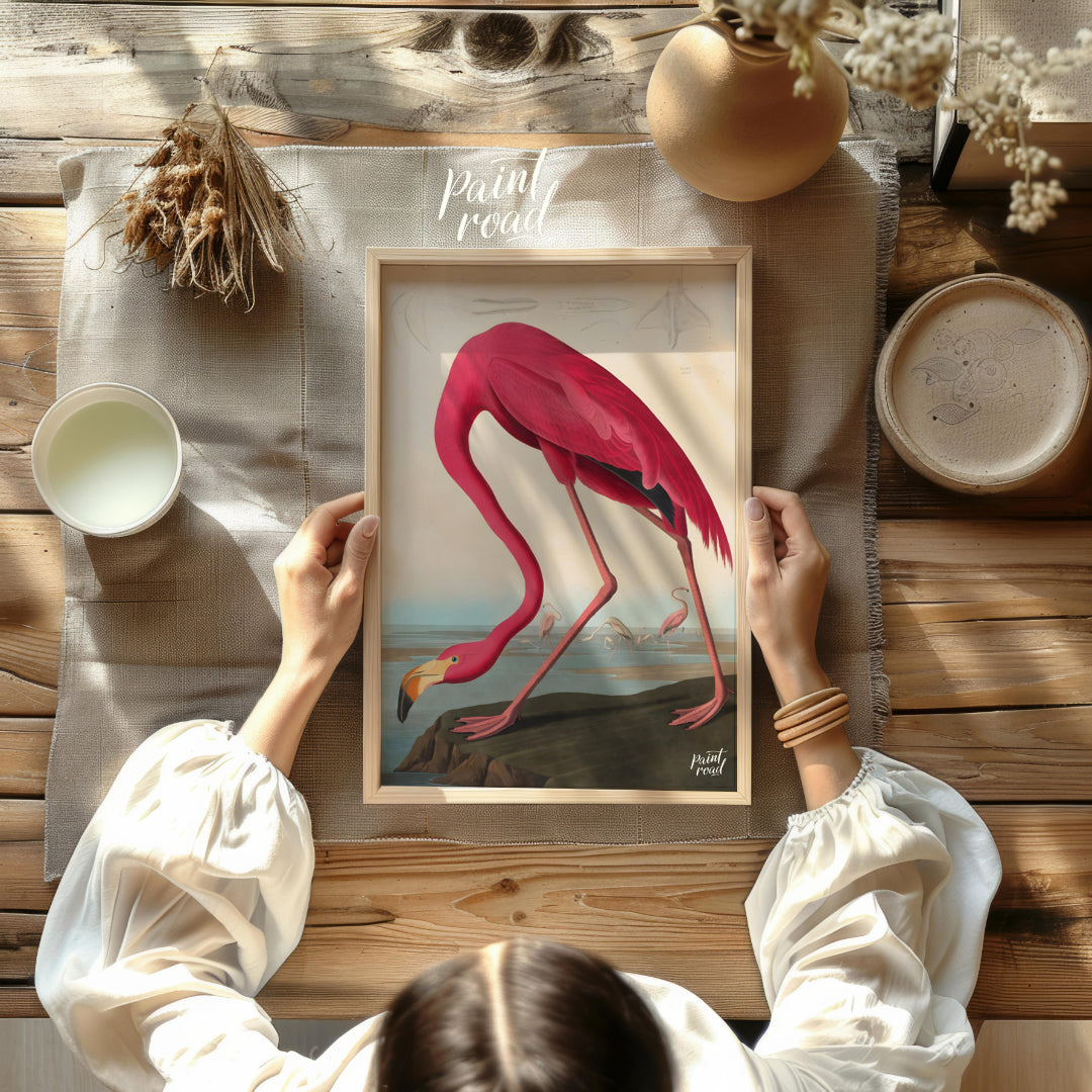 "This illustration, ""American Flamingo"" by John James Audubon, captures the elegant form of the f… for other