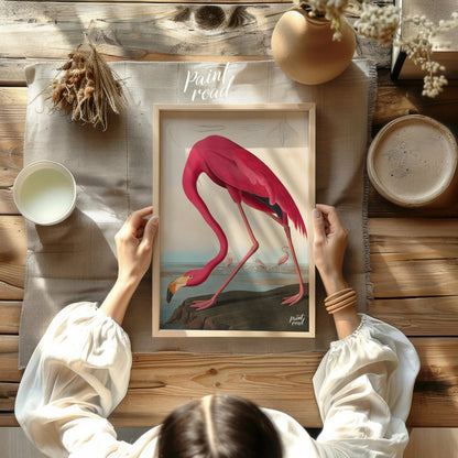 "This illustration, ""American Flamingo"" by John James Audubon, captures the elegant form of the f… for other