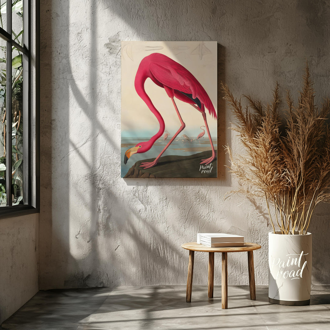 "This illustration, ""American Flamingo"" by John James Audubon, captures the elegant form of the f… for other