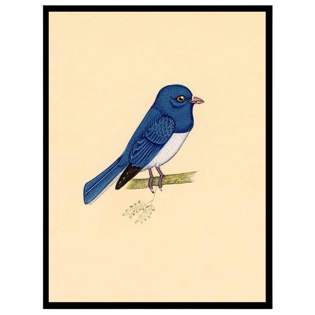 Capture the serene elegance of this Indian miniature art depicting a blue bird perched gracefully for lovely-house
