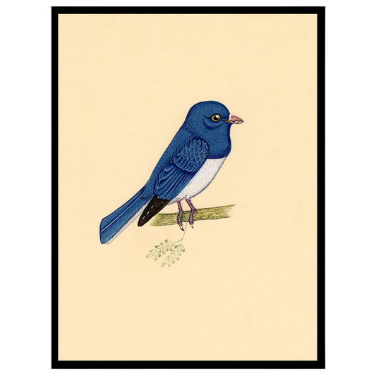 Capture the serene elegance of this Indian miniature art depicting a blue bird perched gracefully for lovely-house