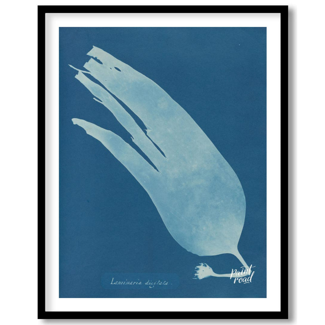 This mesmerizing art print showcases a classic cyanotype, presenting the ethereal silhouette of “La… for room
