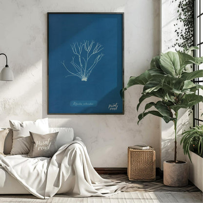 This exquisite art print is a classic cyanotype, capturing the delicate and intricate form of “Poly… for living room