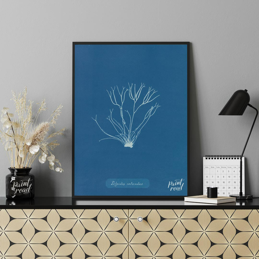 This exquisite art print is a classic cyanotype, capturing the delicate and intricate form of “Poly… for office
