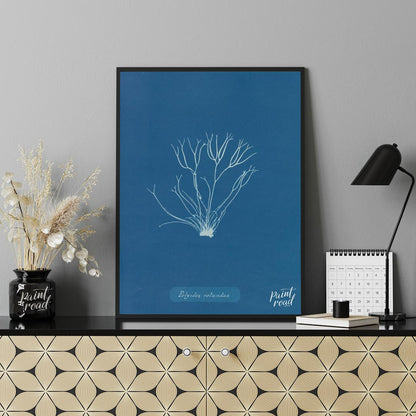 This exquisite art print is a classic cyanotype, capturing the delicate and intricate form of “Poly… for office