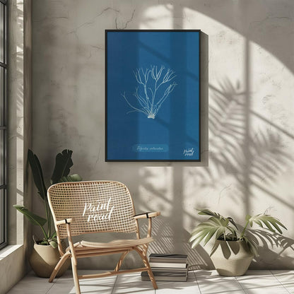 This exquisite art print is a classic cyanotype, capturing the delicate and intricate form of “Poly… for other