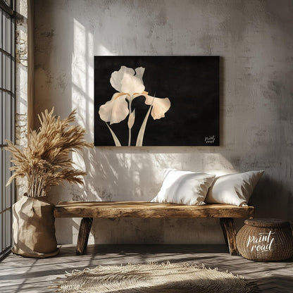 This elegant digital artwork, "Irina's Noir Iris" by Irina Fleming, features a single, luminous whi… for entryway