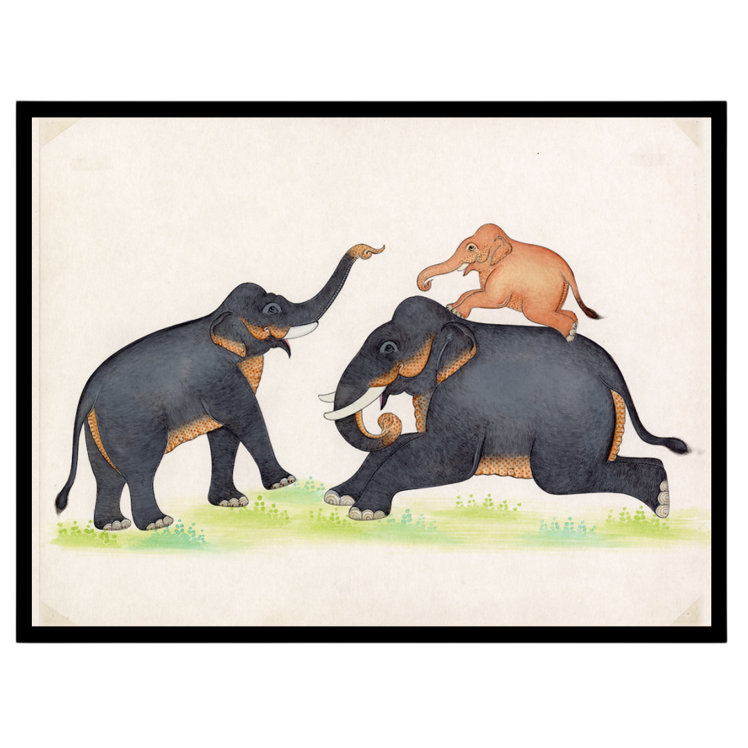 Immerse yourself in the playful elegance of Indian wildlife with this captivating artwork for nook