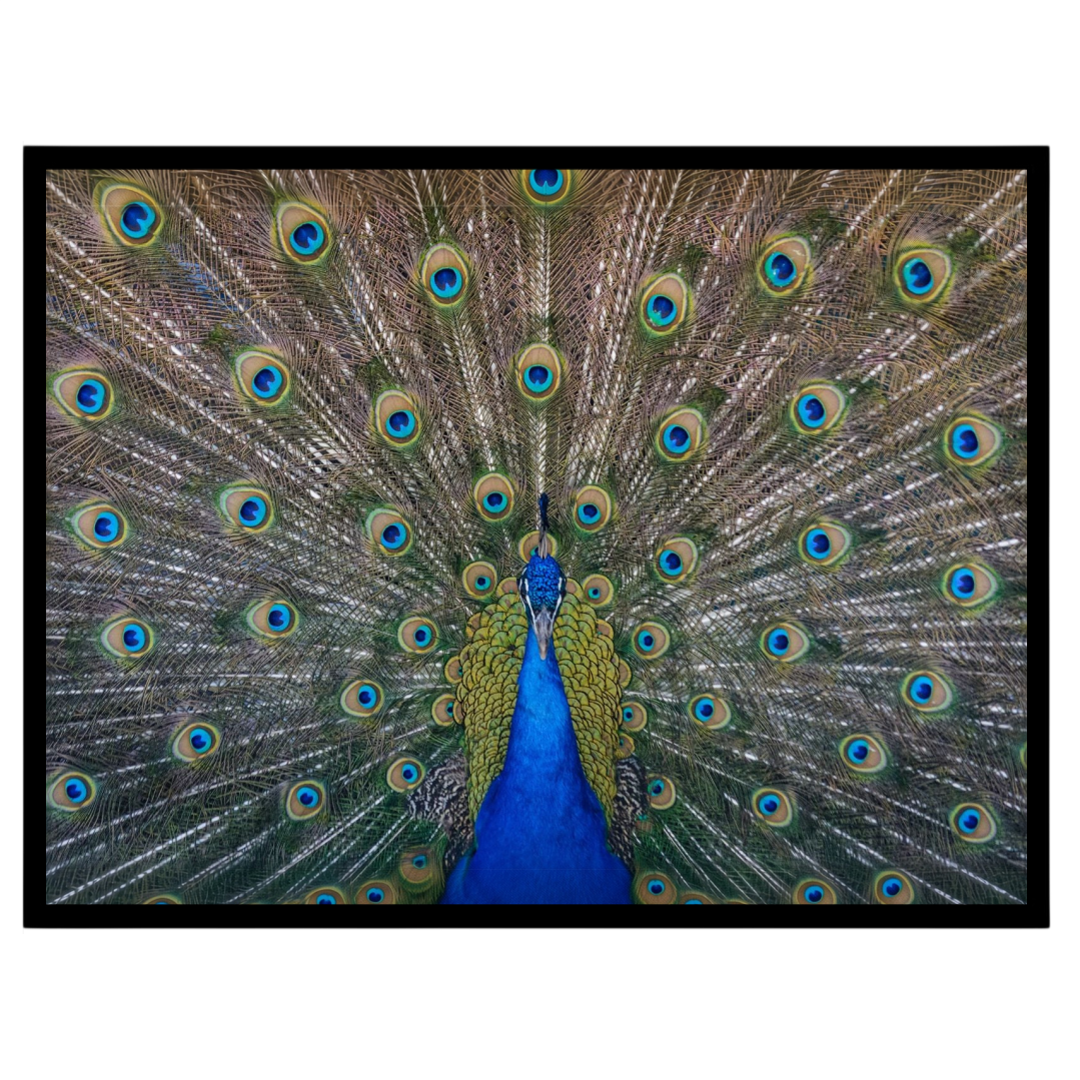 Elevate your space with the vibrant beauty of the Majestic Peacock Splendor Vastu Art Print. This for kitchen