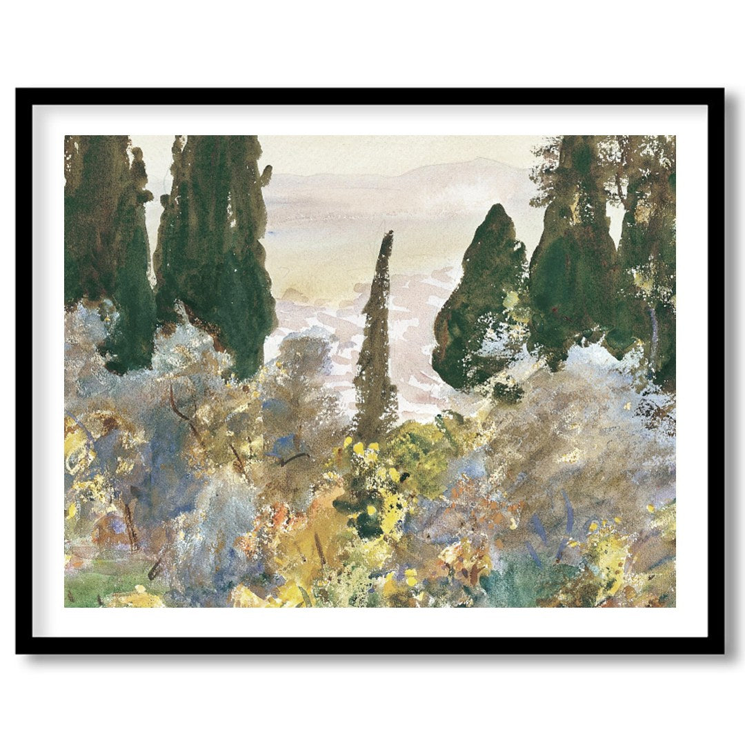 Immerse yourself in the serene beauty of this forest scene, where mist gently cloaks the lush, for gallery