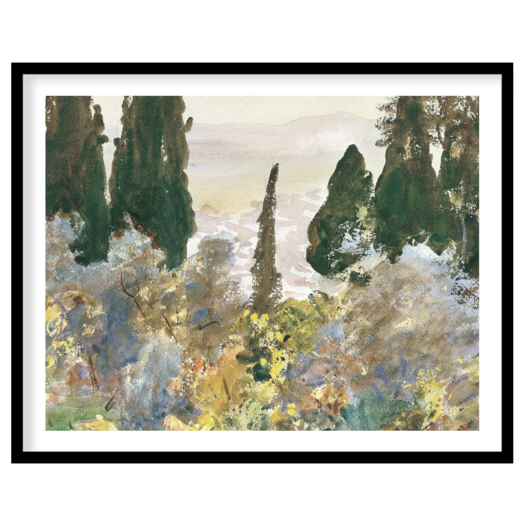 Immerse yourself in the serene beauty of this forest scene, where mist gently cloaks the lush, for gallery