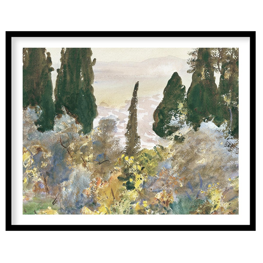 Immerse yourself in the serene beauty of this forest scene, where mist gently cloaks the lush, for gallery