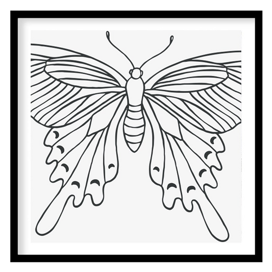 This exquisite line art butterfly illustration encapsulates grace and elegance on a minimalist for studio