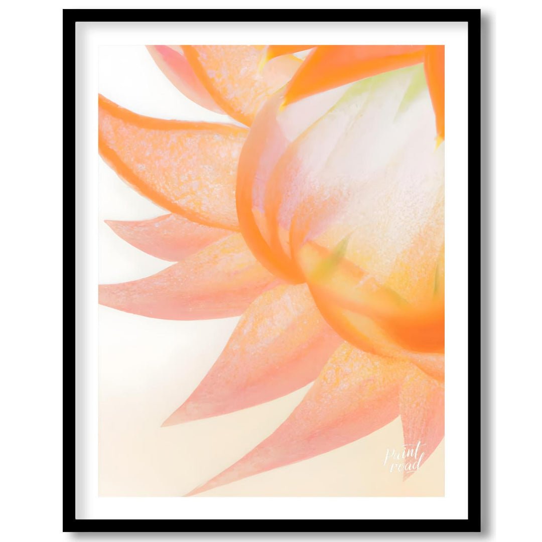 This captivating digital illustration features a close-up view of a flower, likely a dahlia or simi… for sweet home