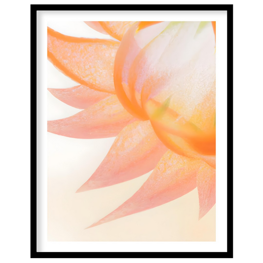 This captivating digital illustration features a close-up view of a flower, likely a dahlia or simi… for sweet home