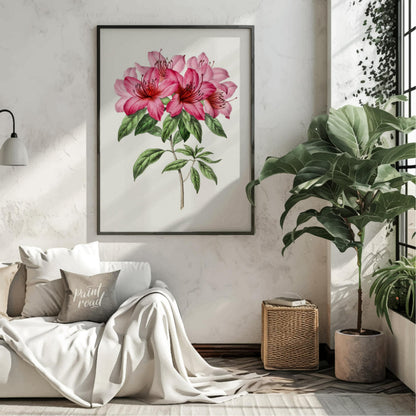 This botanical illustration showcases a vibrant pink azalea flower in full bloom, rendered with met… for living room