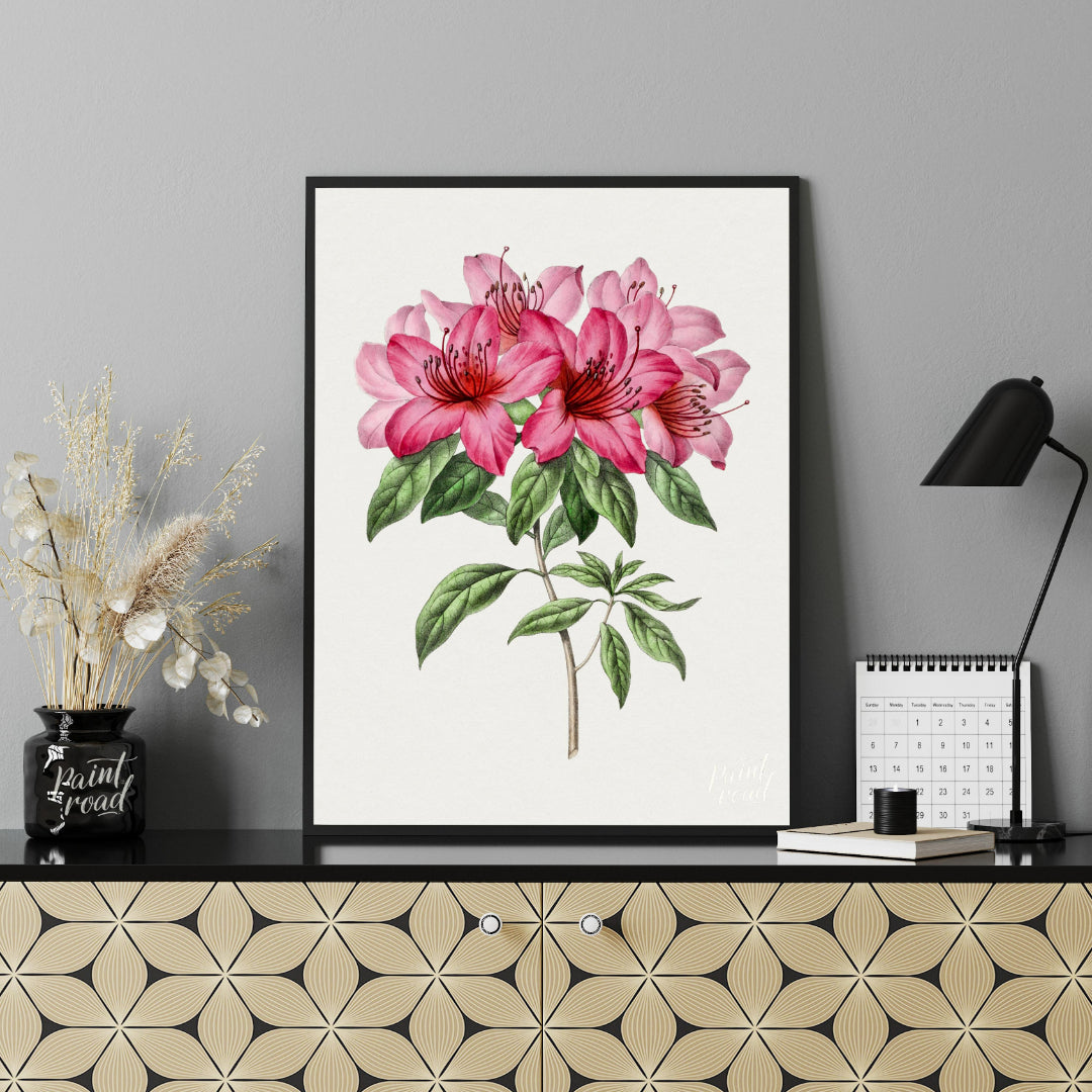 This botanical illustration showcases a vibrant pink azalea flower in full bloom, rendered with met… for office