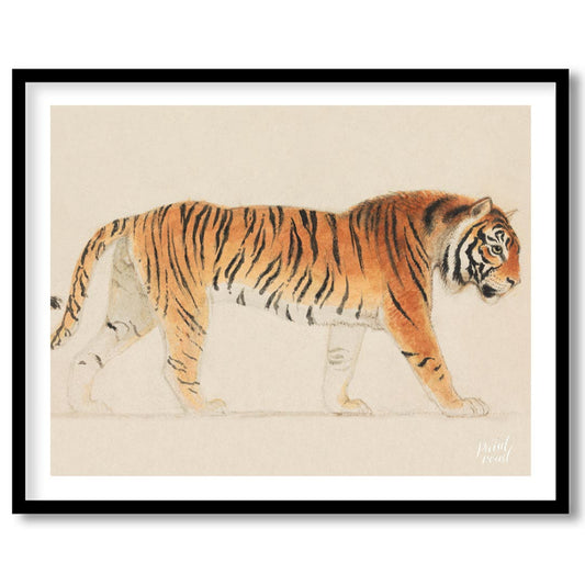 This classic and detailed illustration presents a regal Bengal tiger in a side profile stance, capt… for living-space