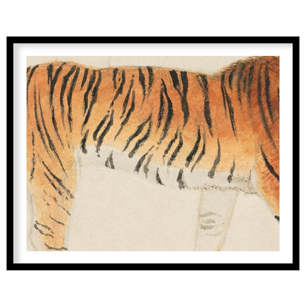 This classic and detailed illustration presents a regal Bengal tiger in a side profile stance, capt… for living-space