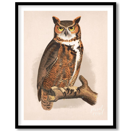 This poster features a striking and detailed illustration of a Great Horned Owl perched on a branch… for kitchen