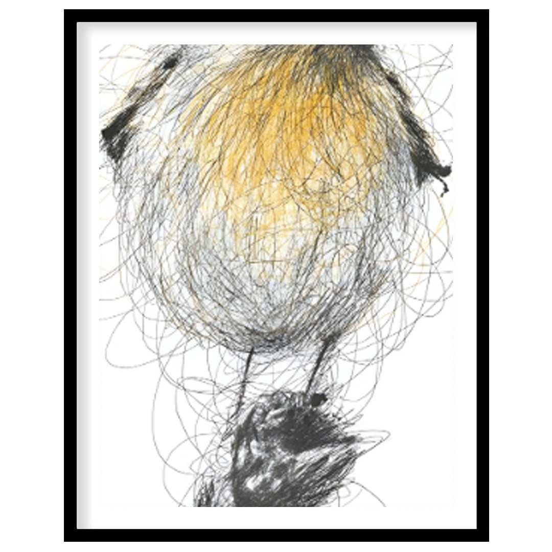 """Robin Sketch"" presents a delicate illustration of a robin, rendered with a combination of detai… for house