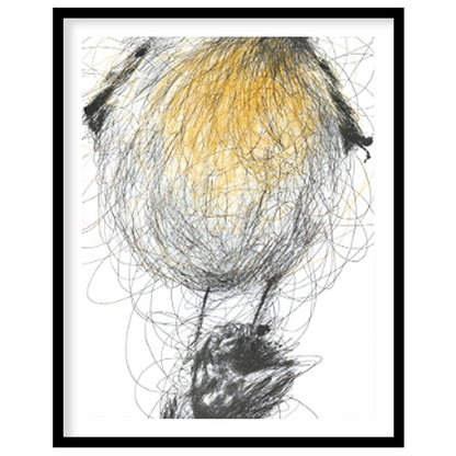 """Robin Sketch"" presents a delicate illustration of a robin, rendered with a combination of detai… for house