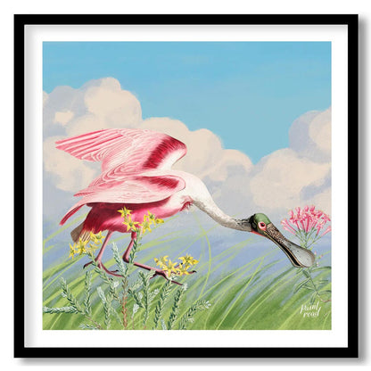This exquisite illustration captures the unique beauty of a Roseate Spoonbill, a striking pink bird… for home