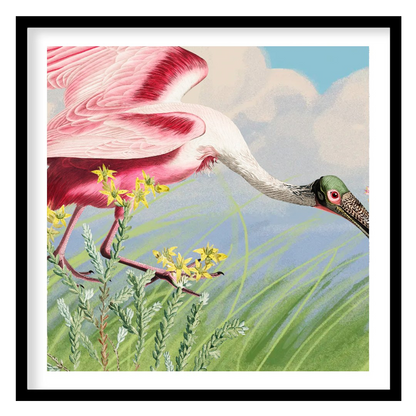 This exquisite illustration captures the unique beauty of a Roseate Spoonbill, a striking pink bird… for home