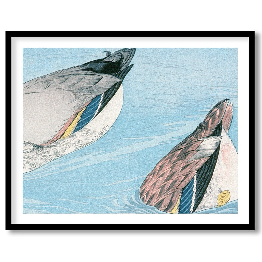 Experience the tranquility of nature with this captivating artwork featuring two ducks gracefully for gallery