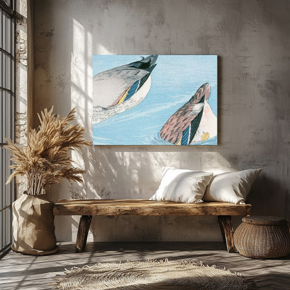Experience the tranquility of nature with this captivating artwork featuring two ducks gracefully for Veranda